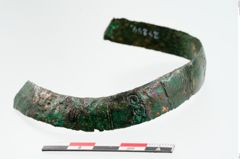 Foto von Bronzefußreif (NHMW-PRAE-024244)